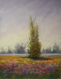 Wildflowers - Pastel