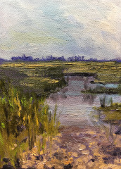 Marsh Study