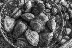 Clams At Baymens Seafood