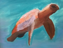 Sea Turtle