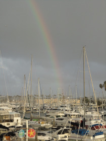 Marina Rainbows